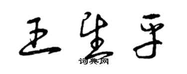 曾慶福王望平草書個性簽名怎么寫