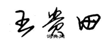 朱錫榮王貴田草書個性簽名怎么寫