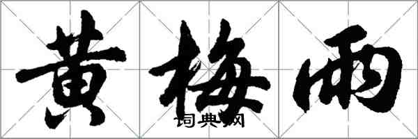 胡問遂黃梅雨行書怎么寫