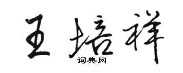 駱恆光王培祥行書個性簽名怎么寫