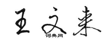 駱恆光王文來行書個性簽名怎么寫