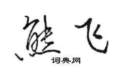 駱恆光熊飛行書個性簽名怎么寫