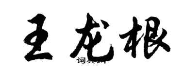 胡問遂王龍根行書個性簽名怎么寫