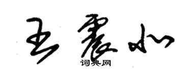 朱錫榮王震北草書個性簽名怎么寫