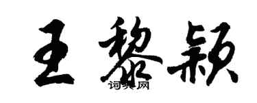 胡問遂王黎穎行書個性簽名怎么寫