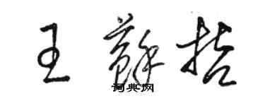 駱恆光王蘇哲草書個性簽名怎么寫