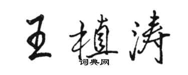 駱恆光王植濤行書個性簽名怎么寫