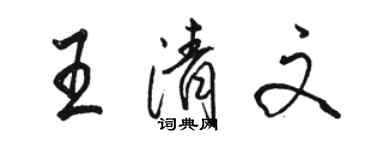 駱恆光王清文行書個性簽名怎么寫