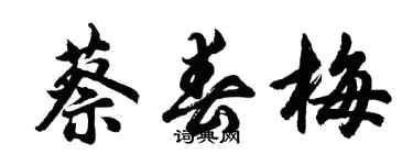 胡問遂蔡春梅行書個性簽名怎么寫