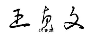 曾慶福王貞文草書個性簽名怎么寫