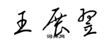 梁錦英王展翌草書個性簽名怎么寫