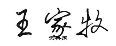 駱恆光王家牧行書個性簽名怎么寫