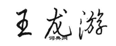 駱恆光王龍遊行書個性簽名怎么寫
