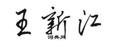 駱恆光王新江行書個性簽名怎么寫