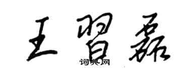 王正良王習磊行書個性簽名怎么寫