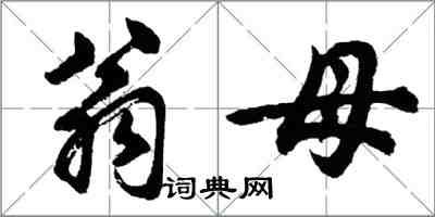 胡問遂翁母行書怎么寫