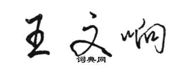 駱恆光王文響行書個性簽名怎么寫