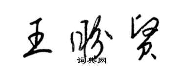 梁錦英王盼賢草書個性簽名怎么寫