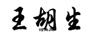 胡問遂王胡生行書個性簽名怎么寫