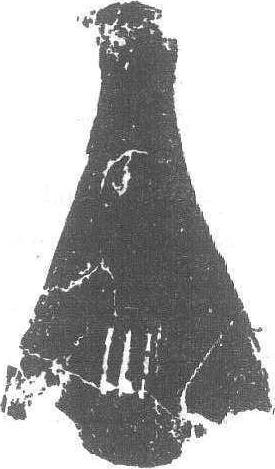 卜骨_卜骨介紹_歷史知識