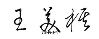 駱恆光王美棋草書個性簽名怎么寫