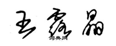 朱錫榮王露晶草書個性簽名怎么寫