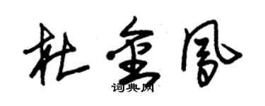 朱錫榮杜金鳳草書個性簽名怎么寫