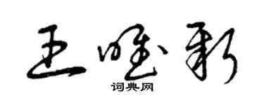 曾慶福王唯新草書個性簽名怎么寫