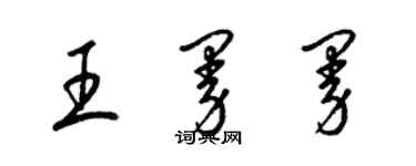 梁錦英王曼曼草書個性簽名怎么寫