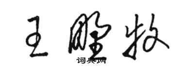 駱恆光王野牧草書個性簽名怎么寫