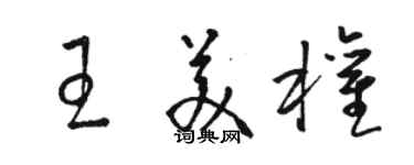 駱恆光王美權草書個性簽名怎么寫