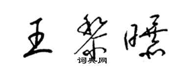 梁錦英王黎曝草書個性簽名怎么寫