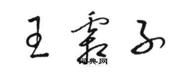 駱恆光王霜子草書個性簽名怎么寫