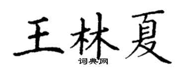 丁謙王林夏楷書個性簽名怎么寫