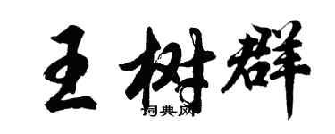 胡問遂王樹群行書個性簽名怎么寫