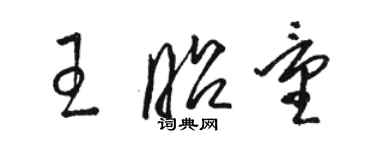 駱恆光王昭量草書個性簽名怎么寫