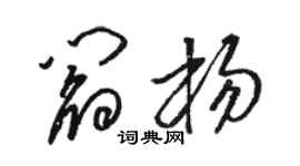 駱恆光閻楊草書個性簽名怎么寫