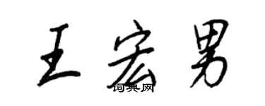 王正良王宏男行書個性簽名怎么寫