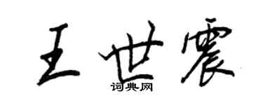 王正良王世震行書個性簽名怎么寫