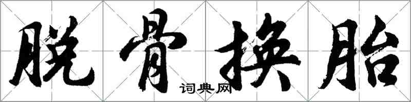 胡問遂脫骨換胎行書怎么寫