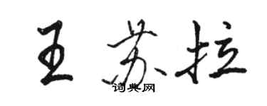 駱恆光王蘇拉行書個性簽名怎么寫