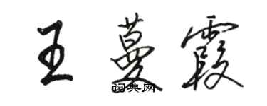 駱恆光王蔓霞行書個性簽名怎么寫