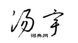 梁錦英湯宇草書個性簽名怎么寫