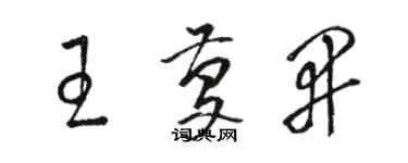 駱恆光王慶開草書個性簽名怎么寫