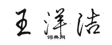 駱恆光王洋潔行書個性簽名怎么寫