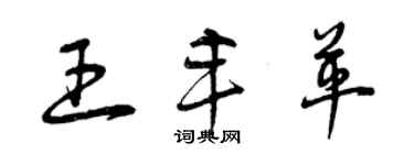 曾慶福王豐革草書個性簽名怎么寫