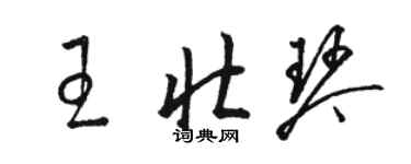 駱恆光王壯琴草書個性簽名怎么寫