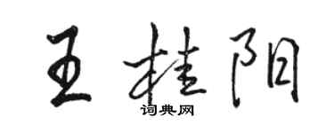 駱恆光王桂陽行書個性簽名怎么寫