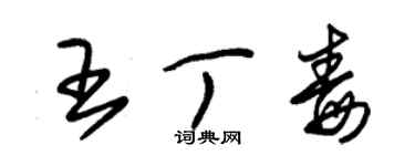 朱錫榮王丁毒草書個性簽名怎么寫