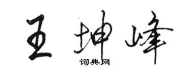 駱恆光王坤峰行書個性簽名怎么寫